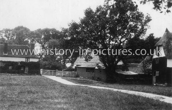 Parsonage Farm (Saxon Farm), Lt Saling, Essex. c.1920